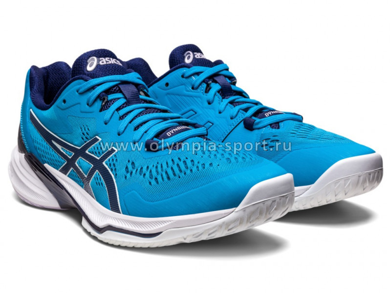 Обувь спортивная Asics SKY ELITE FF 2 1051A064 403