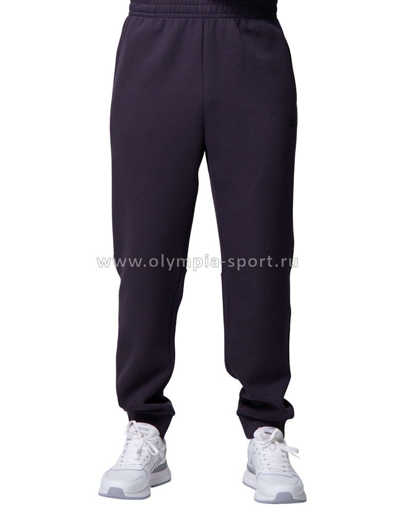 Брюки мужские Strobbs E2422-1 темно-серый