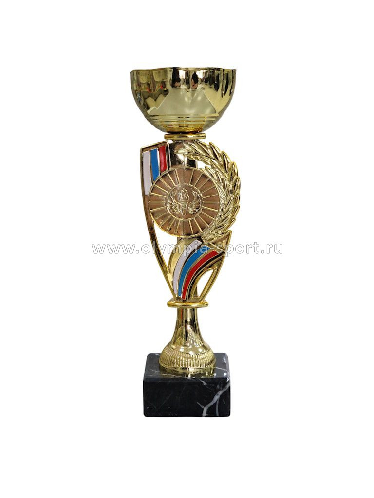 Кубок 509E RUS (5)