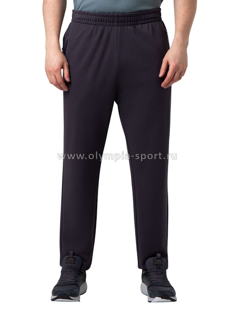 Брюки мужские Strobbs E2474-1 темно-серый